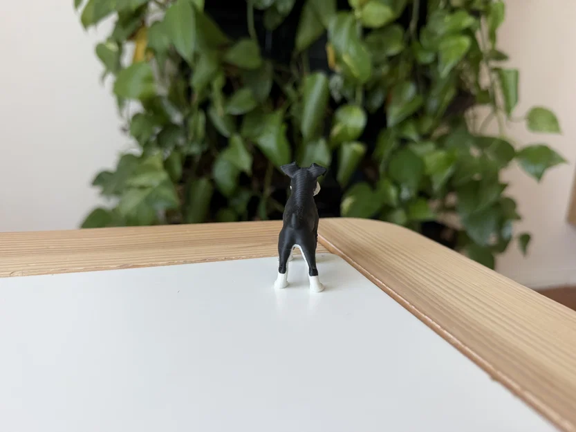 Mô hình Miniature Schnauzer - Image 4