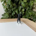 Mô hình Miniature Schnauzer - Thumbnail 4