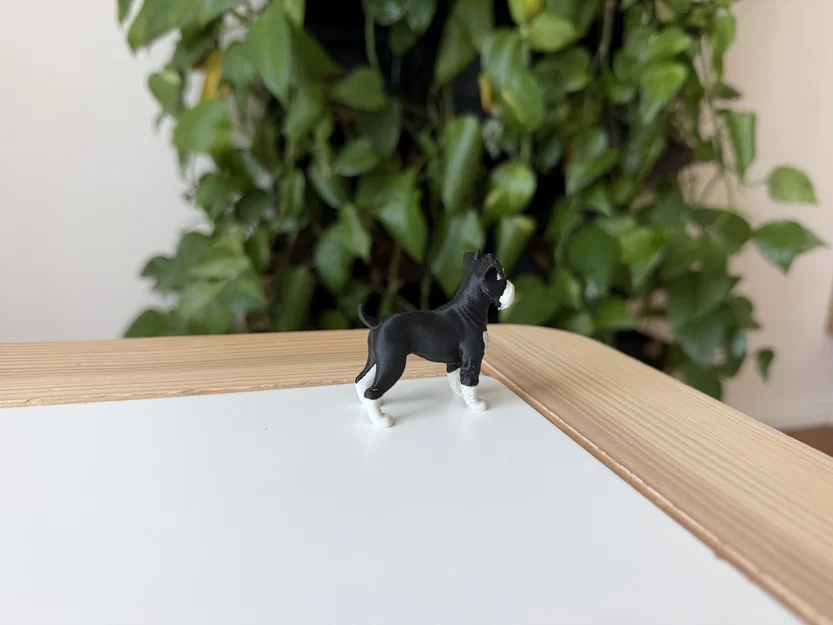 Mô hình Miniature Schnauzer - Image 5