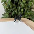 Mô hình Miniature Schnauzer - Thumbnail 5