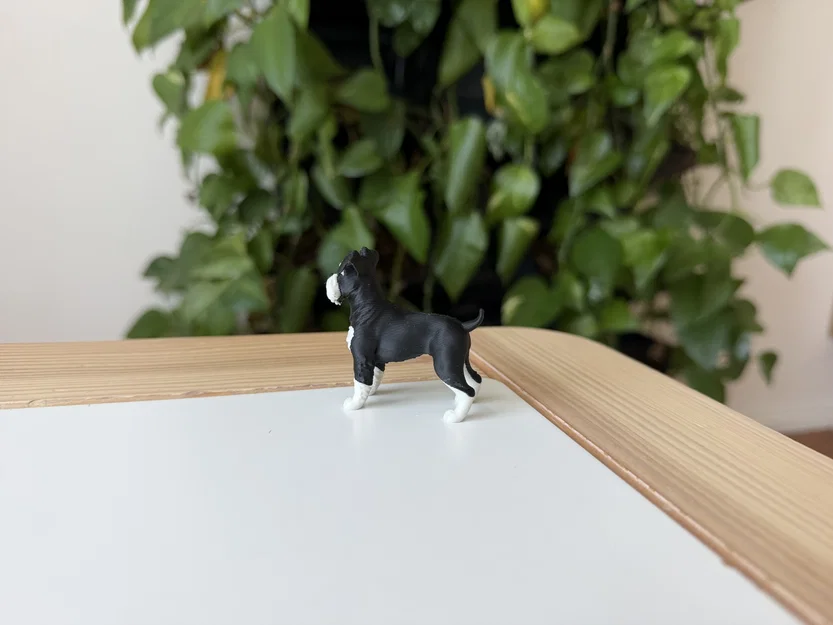Mô hình Miniature Schnauzer - Image 6