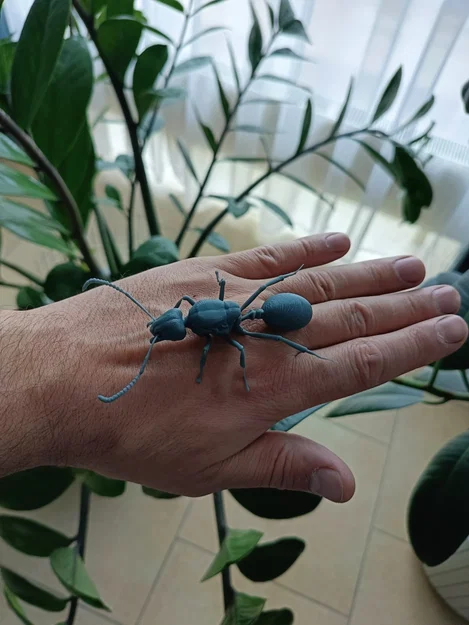 Mô hình 3D kiến chúa Messor barbarus chi tiết sắc nét - Image 4