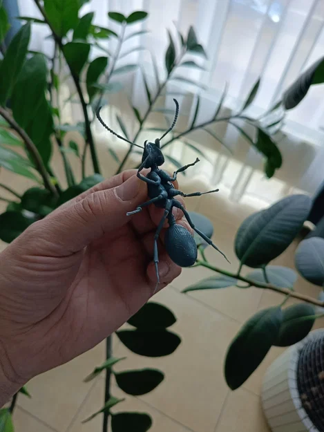 Mô hình 3D kiến chúa Messor barbarus chi tiết sắc nét - Image 5