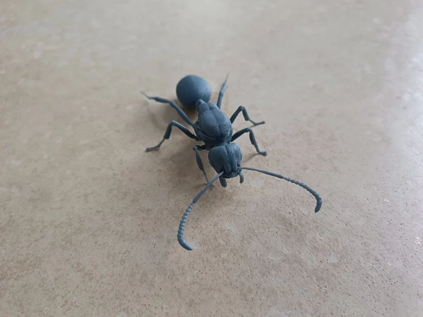 Mô hình 3D kiến chúa Messor barbarus chi tiết sắc nét - Image 6