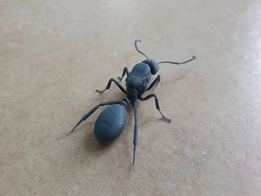 Mô hình 3D kiến chúa Messor barbarus chi tiết sắc nét - Image 7