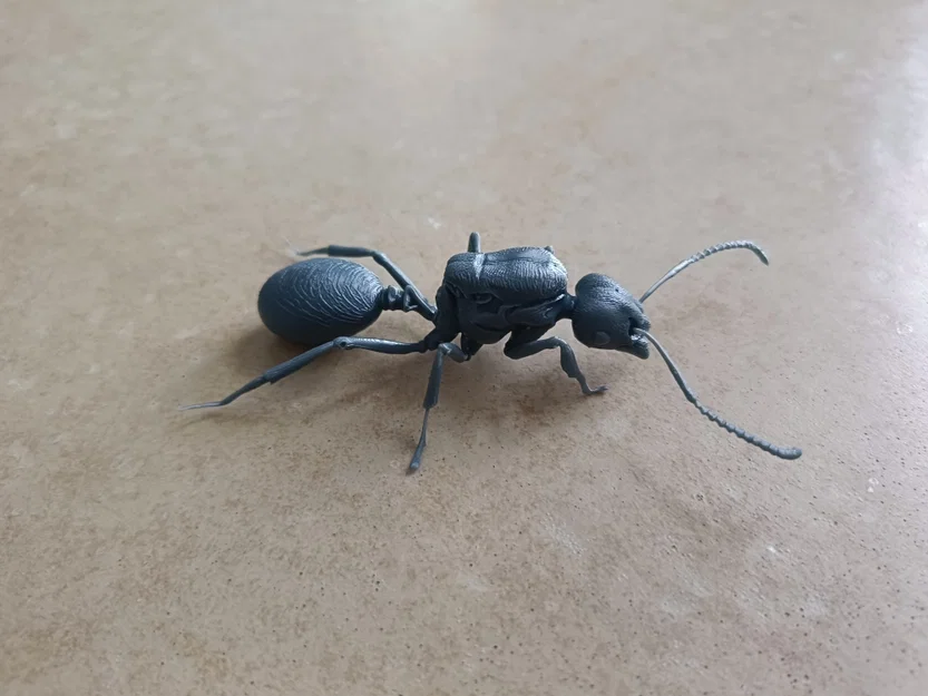 Mô hình 3D kiến chúa Messor barbarus chi tiết sắc nét - Image 8