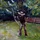 Bedrnik_1705939