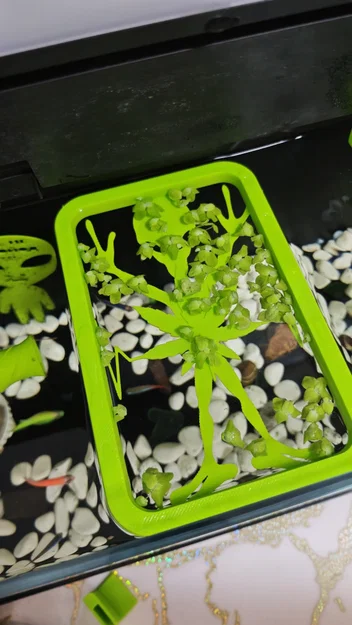 Bộ giữ cây nổi (Floater Grower) cho hồ cá thông minh Xiaomi (Mijia) MYG100 - Image 2