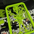 Bộ giữ cây nổi (Floater Grower) cho hồ cá thông minh Xiaomi (Mijia) MYG100 - Thumbnail 2