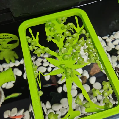 Bộ giữ cây nổi (Floater Grower) cho hồ cá thông minh Xiaomi (Mijia) MYG100