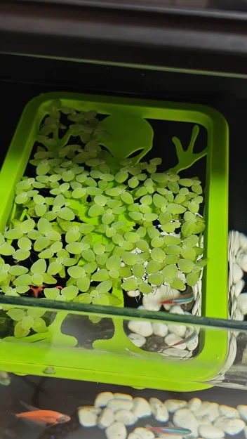Bộ giữ cây nổi (Floater Grower) cho hồ cá thông minh Xiaomi (Mijia) MYG100 - Image 4