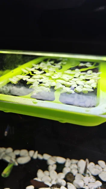 Bộ giữ cây nổi (Floater Grower) cho hồ cá thông minh Xiaomi (Mijia) MYG100 - Image 5