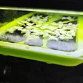 Bộ giữ cây nổi (Floater Grower) cho hồ cá thông minh Xiaomi (Mijia) MYG100 - Thumbnail 5