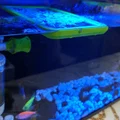 Bộ giữ cây nổi (Floater Grower) cho hồ cá thông minh Xiaomi (Mijia) MYG100 - Thumbnail 6