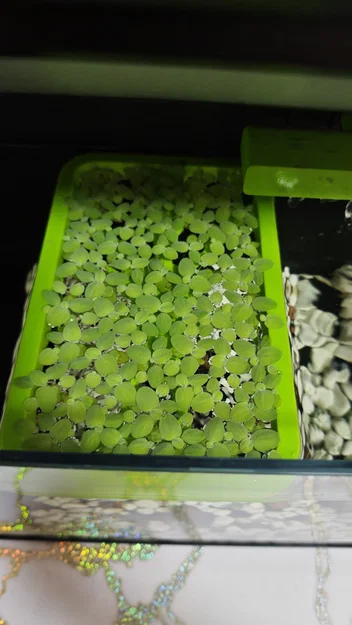 Bộ giữ cây nổi (Floater Grower) cho hồ cá thông minh Xiaomi (Mijia) MYG100 - Image 7
