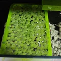 Bộ giữ cây nổi (Floater Grower) cho hồ cá thông minh Xiaomi (Mijia) MYG100 - Thumbnail 7