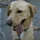 JamesJarvis_659321
