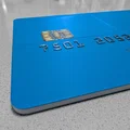 Hộp đựng thẻ tín dụng khổng lồ (Giant Credit Card Case) - Thumbnail 2