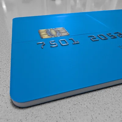 Hộp đựng thẻ tín dụng khổng lồ (Giant Credit Card Case)