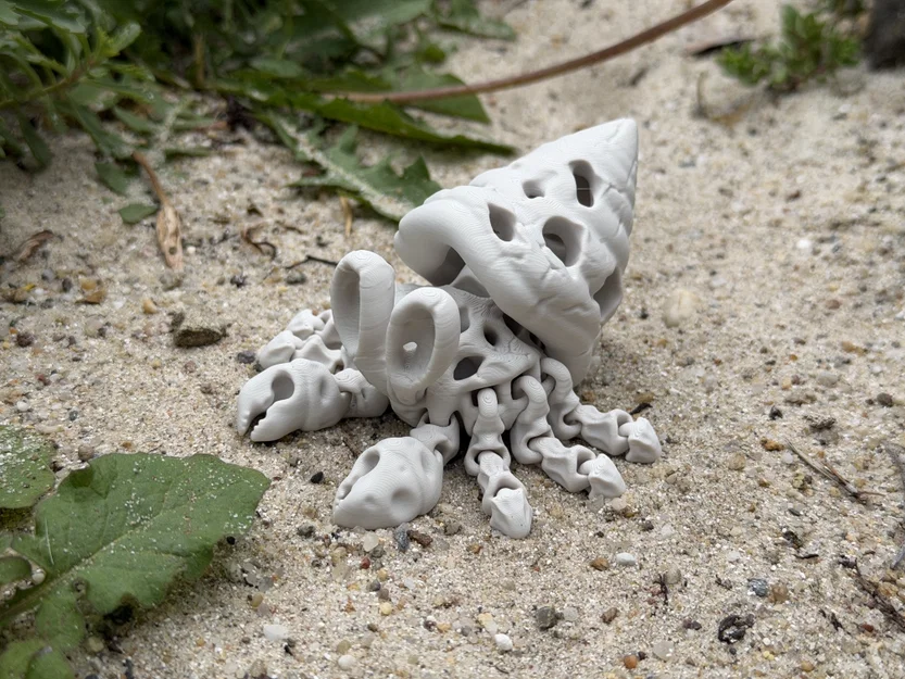 Mô hình Cua Ẩn Sĩ Xương Khớp Khớp Linh Hoạt (Articulated Skeleton Hermit Crab) - Image 1