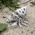 Mô hình Cua Ẩn Sĩ Xương Khớp Khớp Linh Hoạt (Articulated Skeleton Hermit Crab) - Thumbnail 1
