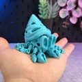 Mô hình Cua Ẩn Sĩ Xương Khớp Khớp Linh Hoạt (Articulated Skeleton Hermit Crab) - Thumbnail 6