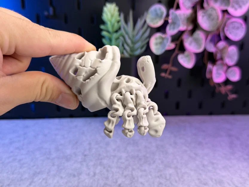 Mô hình Cua Ẩn Sĩ Xương Khớp Khớp Linh Hoạt (Articulated Skeleton Hermit Crab) - Image 8