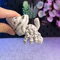 Mô hình Cua Ẩn Sĩ Xương Khớp Khớp Linh Hoạt (Articulated Skeleton Hermit Crab) - Thumbnail 8