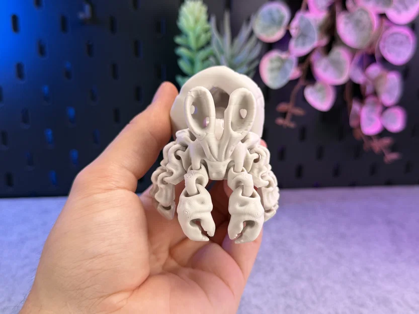 Mô hình Cua Ẩn Sĩ Xương Khớp Khớp Linh Hoạt (Articulated Skeleton Hermit Crab) - Image 9