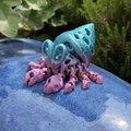 Mô hình Cua Ẩn Sĩ Xương Khớp Khớp Linh Hoạt (Articulated Skeleton Hermit Crab) - Thumbnail 10