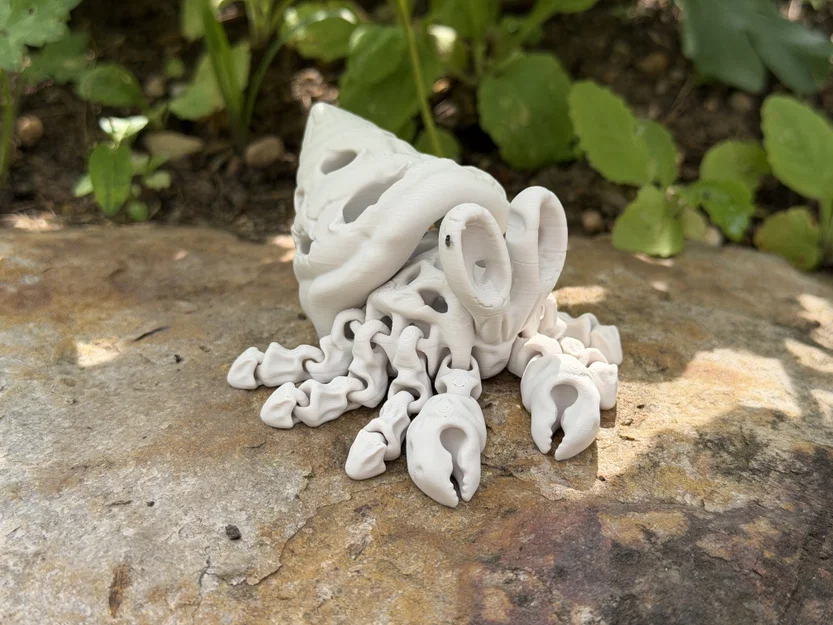 Mô hình Cua Ẩn Sĩ Xương Khớp Khớp Linh Hoạt (Articulated Skeleton Hermit Crab) - Image 11