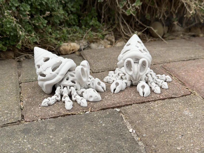 Mô hình Cua Ẩn Sĩ Xương Khớp Khớp Linh Hoạt (Articulated Skeleton Hermit Crab) - Image 12
