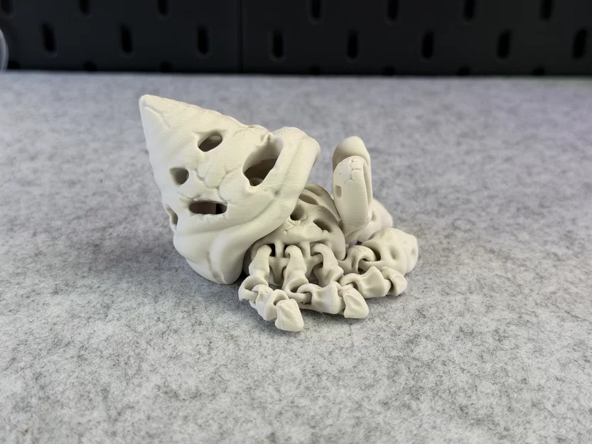 Mô hình Cua Ẩn Sĩ Xương Khớp Khớp Linh Hoạt (Articulated Skeleton Hermit Crab) - Image 15