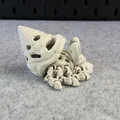 Mô hình Cua Ẩn Sĩ Xương Khớp Khớp Linh Hoạt (Articulated Skeleton Hermit Crab) - Thumbnail 15