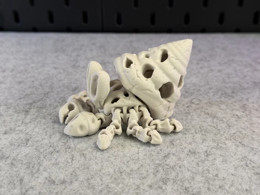 Mô hình Cua Ẩn Sĩ Xương Khớp Khớp Linh Hoạt (Articulated Skeleton Hermit Crab) - Image 16