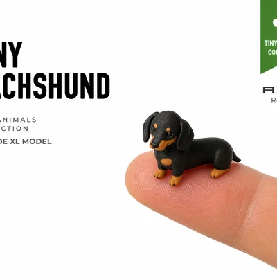 Chú Chó Dachshund Tí Hon - Bộ Sưu Tập Mini Animals