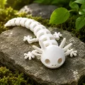 Bộ xương Axolotl – Mô hình linh hoạt có khớp nối in trực tiếp - Thumbnail 1