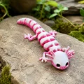 Bộ xương Axolotl – Mô hình linh hoạt có khớp nối in trực tiếp - Thumbnail 3