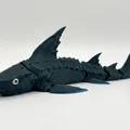 Cá Mập Khớp Nối (Articulated Shark) In 3D - Thumbnail 1