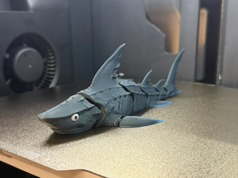 Cá Mập Khớp Nối (Articulated Shark) In 3D - Image 3
