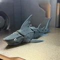 Cá Mập Khớp Nối (Articulated Shark) In 3D - Thumbnail 3