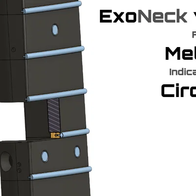 ExoBass - Neck - Neck