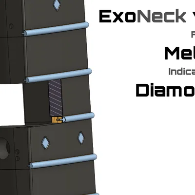 ExoBass - Neck - Neck