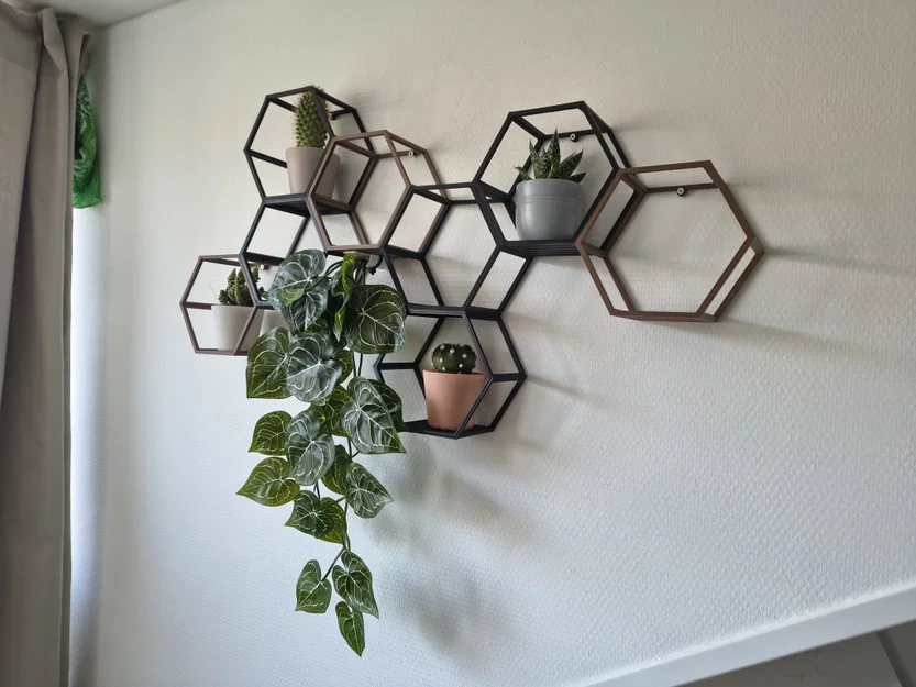 Hexagon Wall-art: Kệ Lục Giác Treo Tường Sáng Tạo - Image 1