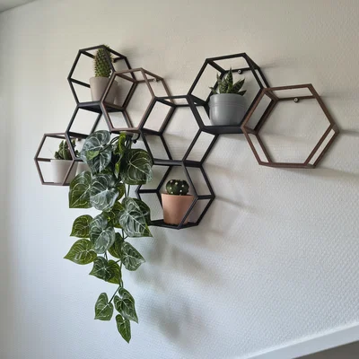 Hexagon Wall-art: Kệ Lục Giác Treo Tường Sáng Tạo