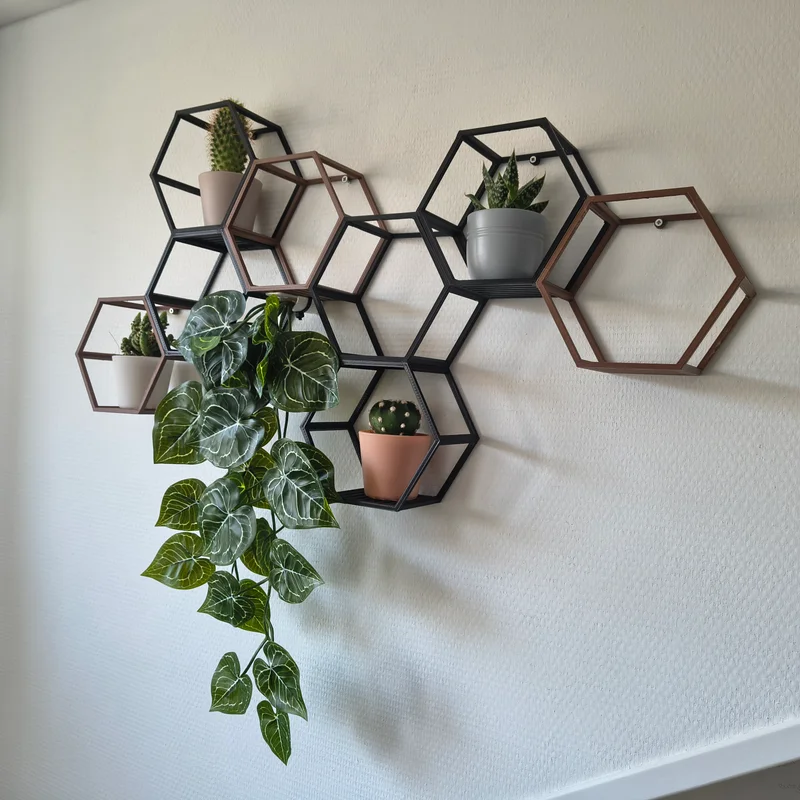 Hexagon Wall-art: Kệ Lục Giác Treo Tường Sáng Tạo