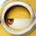 Boxseez_169293