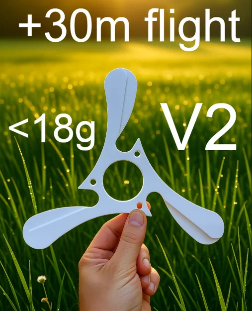 Boomerang V2 - Thiết kế vòng bay rộng hơn - Image 1