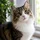 Snoogins0880_960198