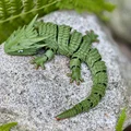 Mô hình thằn lằn cử động khớp (Articulated flexi lizard) in 3D - Thumbnail 1